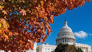 Seit mehr als einem Monat dauert der Shutdown in den USA an. Seit mehr als einem Monat dauert der Shutdown in den USA an.