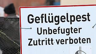 Bei Verdacht auf Vogelgrippe muss der gesamte Gefl&uuml;gelbestand get&ouml;tet werden. Der Betrieb wird streng abgeriegelt.