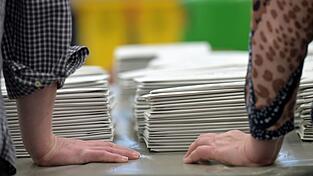 Zwei Stimmen machten in Steinh&ouml;ring den Unterschied. (Archivbild)