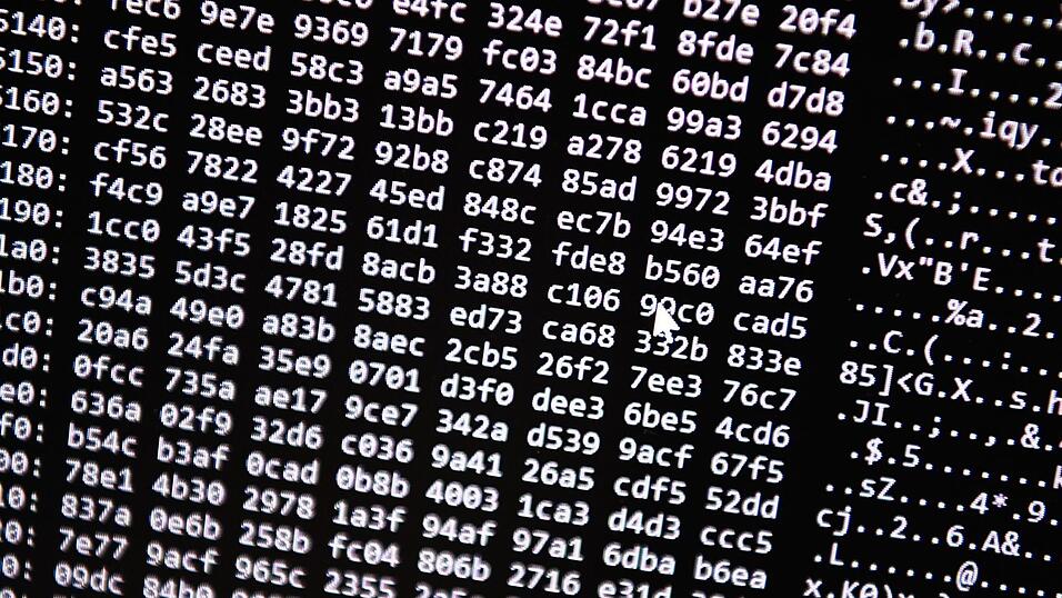 Täglich versuchen Kriminelle, etwa Behörden, Privatpersonen oder Unternehmen zu schädigen. (Illustration)