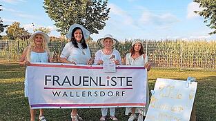 Die Wallersdorfer Frauenliste m&ouml;chte es sich noch einmal gut gehen lassen unter freiem Himmel. Der Termin am 28. August steht - nun ist Daumendr&uuml;cken f&uuml;r sch&ouml;nes Sommerwetter angesagt.