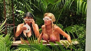 Bei der ersten Dschungelpr&uuml;fung wird es gleich spannend.