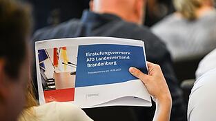 Das Gutachten zur Einstufung der AfD Brandenburg als gesichert rechtsextremistisch wurde am Donnerstag offengelegt.
