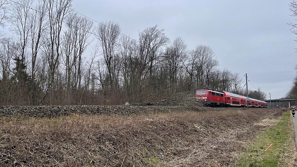Bei Baumfällarbeiten bei Marzling fiel am Freitag ein Baum auf die Gleise.