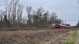 Bei Baumfällarbeiten bei Marzling fiel am Freitag ein Baum auf die Gleise.