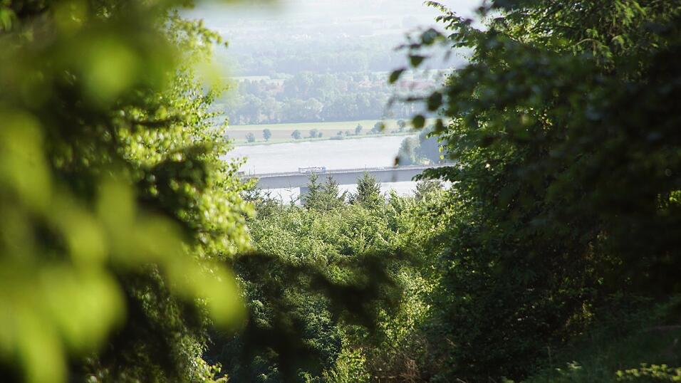 Blick vom Rauhenberg bei Wiesent auf die Donau. In diesem Waldgebiet ist ein 12,3 Hektar gro&szlig;er Steinbruch geplant.
