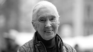 Die britische Schimpansen-Forscherin und Umwelt-Aktivistin Jane Goodall ist tot.