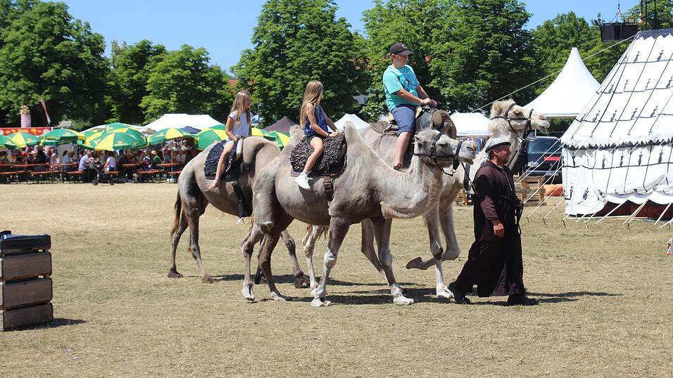 Landshut stand am Wochenende wieder im Zeichen der Afrikatage, die heuer ihr 20. Jubil&auml;um feierten.&nbsp;