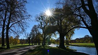 Die Sonne scheint durch Bäume im Englischen Garten: In Bayern soll es in den kommenden Tagen sonnig und mild werden. (Archivbild) Die Sonne scheint durch Bäume im Englischen Garten: In Bayern soll es in den kommenden Tagen sonnig und mild werden. (Archivbild)