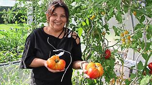 Schmecken nach Ananas und Melone: Ananas-Tomaten, die Maria Pohmann heuer zum zweiten Mal angebaut hat. Diese beiden Exemplare wiegen 630 und 550 Gramm.
