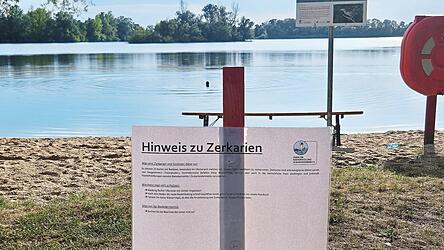 Am Sarchinger Weiher hat der Naherholungsverein Hinweisschilder aufgestellt. Im Hintergrund zieht ein Schwimmer seine Runden. Er hat keine Angst vor Zerkarien. Seine Devise: &bdquo;Nach dem Schwimmen gut abtrocknen.&ldquo;