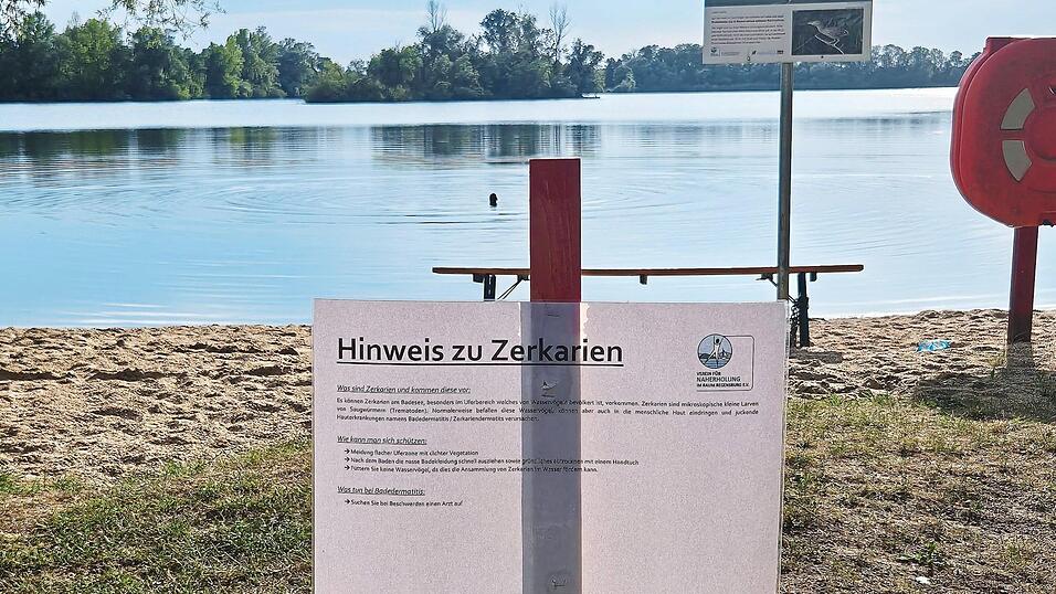 Am Sarchinger Weiher hat der Naherholungsverein Hinweisschilder aufgestellt. Im Hintergrund zieht ein Schwimmer seine Runden. Er hat keine Angst vor Zerkarien. Seine Devise: „Nach dem Schwimmen gut abtrocknen.“ Am Sarchinger Weiher hat der Naherholungsverein Hinweisschilder aufgestellt. Im Hintergrund zieht ein Schwimmer seine Runden. Er hat keine Angst vor Zerkarien. Seine Devise: „Nach dem Schwimmen gut abtrocknen.“