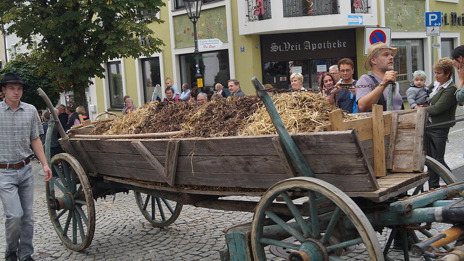 Impressionen vom 34. Bad K&ouml;tztinger Rosstag