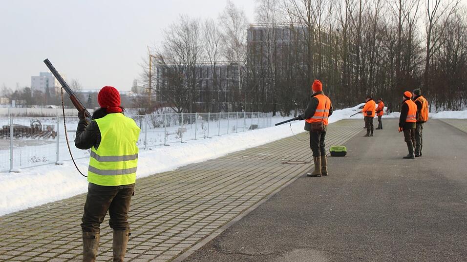 Die Bejagung der Kaninchen ist die einzige M&ouml;glichkeit, die Plage an der Uni einzud&auml;mmen. (Fotos: el)