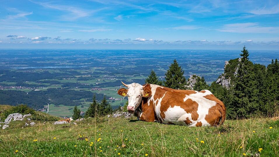 Es bleibt freundlich in Bayern. (Archivbild) Es bleibt freundlich in Bayern. (Archivbild)