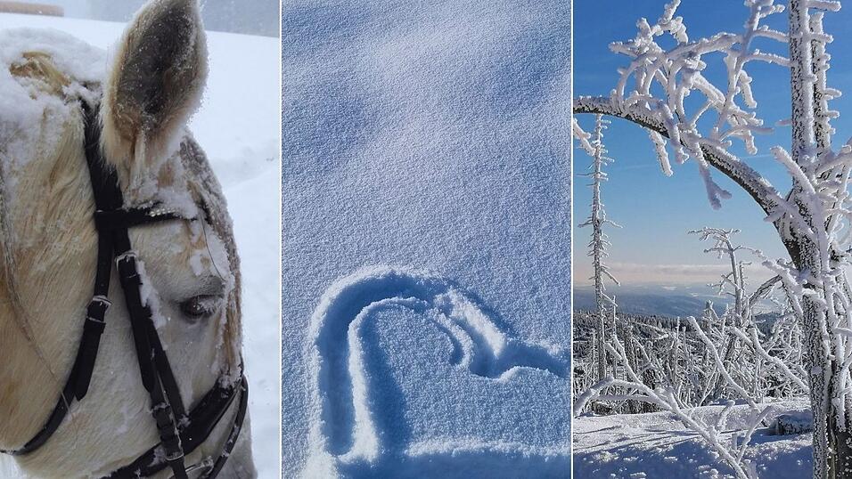 Ein mit Schnee bedecktes Pferd, ein Herz in Schnee gezeichnet, eine Schneewanderung bei Sonnenschein - herrliche Bilder haben uns nach unserem Leseraufruf erreicht. Viel Freude beim Durchklicken! Ein mit Schnee bedecktes Pferd, ein Herz in Schnee gezeichnet, eine Schneewanderung bei Sonnenschein - herrliche Bilder haben uns nach unserem Leseraufruf erreicht. Viel Freude beim Durchklicken!