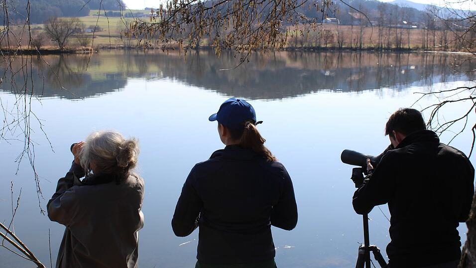 Eine der Bufdi-Aufgaben: das Kartieren. Auf dem See entdecken die drei viele verschiedene V&ouml;gel.