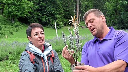 Auf mehr als 1 200 Metern H&ouml;he baut Michael Warter Lavendel an.