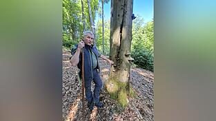 Ein Totholzbaum bietet vielen Tieren und Pflanzen Versteck und Heimat. Er ist ein Zeichen von gro&szlig;er Strukturvielfalt.