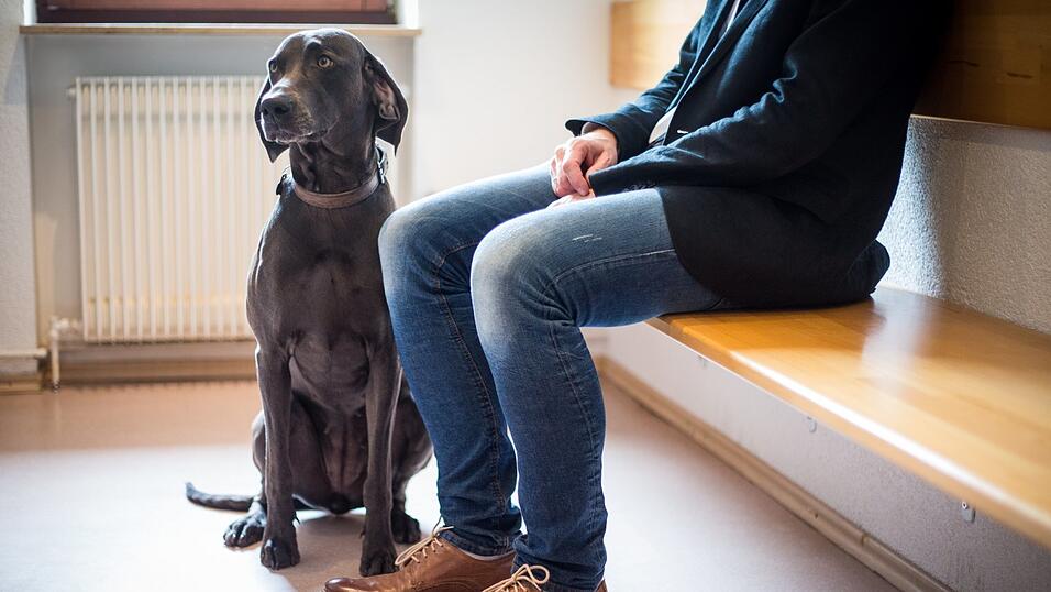 Haustier und Besitzer sitzen in der Corona-Zeit alleine im Wartezimmer, damit m&ouml;glichst wenig Besucher aufeinandertreffen. Mit der Vergabe von Terminen regeln viele Praxen ihren Alltag.