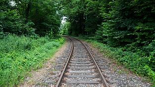 Der Wirtschaftsausschuss des Kreistags Regensburg will den Schienennahverkehr ausbauen. Der Wirtschaftsausschuss des Kreistags Regensburg will den Schienennahverkehr ausbauen.