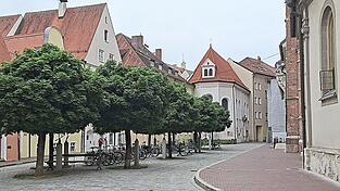 B&auml;ume in der Landshuter Altstadt sind ein umstrittenes Thema.