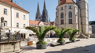 So sollen die Schattenspender am Neupfarrplatz in Zukunft aussehen. Sie sind ein Pilotprojekt, das alternative Begr&uuml;nung f&uuml;r die Altstadt praktisch testen soll.