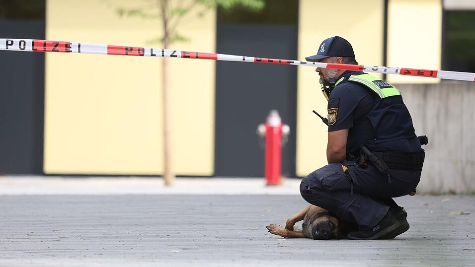 Das Gelände wurde abgesucht. Das Gelände wurde abgesucht.