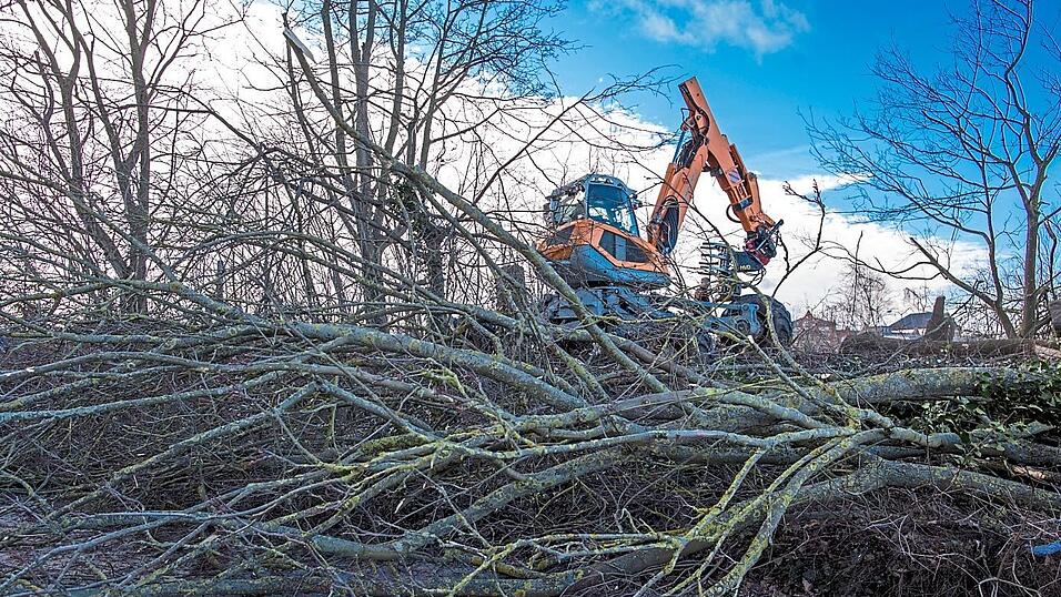 In der überwiegenden Mehrzahl der Fälle sei gegen die Betroffenen ein Bußgeldverfahren eingeleitet worden, so die Verwaltung. In der überwiegenden Mehrzahl der Fälle sei gegen die Betroffenen ein Bußgeldverfahren eingeleitet worden, so die Verwaltung.
