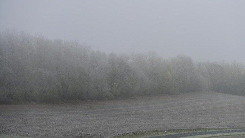 Auch kommende Woche wird das Wetter in Deutschland eher ungemütlich. Auch kommende Woche wird das Wetter in Deutschland eher ungemütlich.