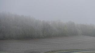 Auch kommende Woche wird das Wetter in Deutschland eher ungemütlich. Auch kommende Woche wird das Wetter in Deutschland eher ungemütlich.