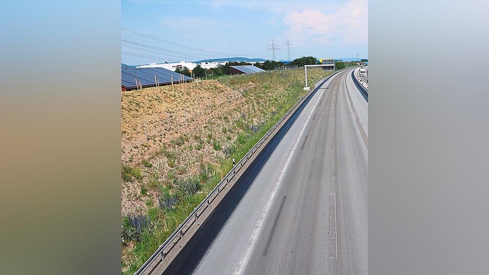 Einen Lärmschutzwall, wie hier an der A3 bei Regensburg-Ost, möchten die Tiefenthaler ebenfalls: Doch das Verfahren entpuppt sich bislang als eine Expedition in den Behördendschungel. Einen Lärmschutzwall, wie hier an der A3 bei Regensburg-Ost, möchten die Tiefenthaler ebenfalls: Doch das Verfahren entpuppt sich bislang als eine Expedition in den Behördendschungel.