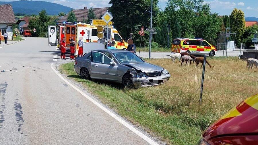 Zaun und Auto wurden deutlich in Mitleidenschaft gezogen, die Alpakas auf der Weide schauen dagegen eher unbeeindruckt. 