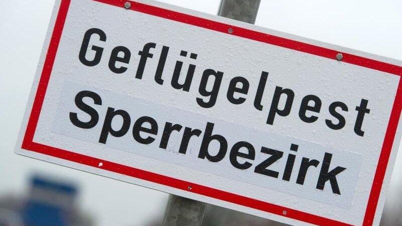 Ein Schild mit der Aufschrift 'Geflügelpest Sperrbezirk'.