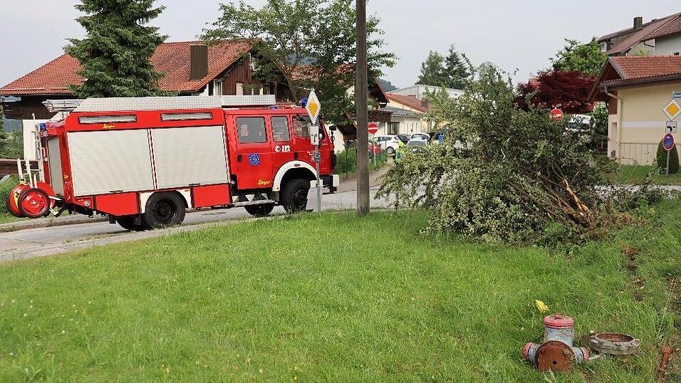 In einer Kurve hatte die Fahrerin versehentlich Vollgas gegeben. In einer Kurve hatte die Fahrerin versehentlich Vollgas gegeben.