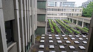 Noch bis Ende Juni soll das Gebäude in Betrieb sein. Noch bis Ende Juni soll das Gebäude in Betrieb sein.