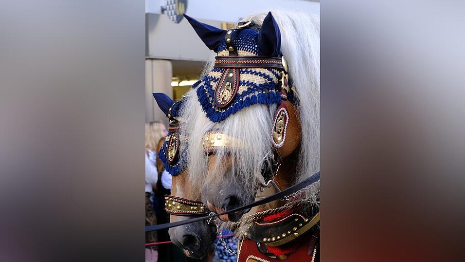 Zahlreiche Musik- und Trachtengruppen zogen nach dreij&auml;hriger Pause am Freitagabend zum Festplatz Am Hagen.