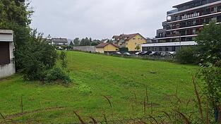 Es ist ein stadtnahes langgezogenes Grundstück, auf dem die drei Gebäudekomplexe entstehen sollen.