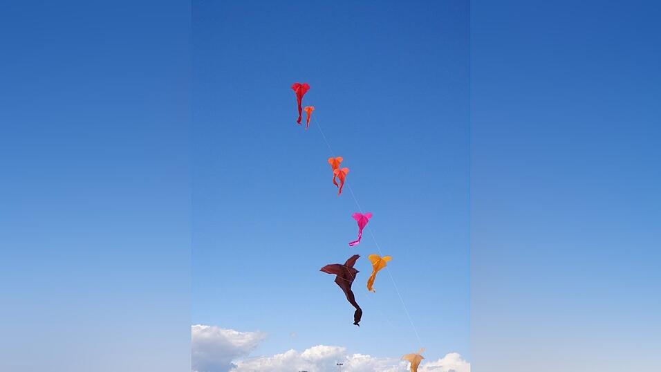 Bilder zum Thema Bilder zum Thema