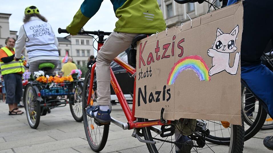 Viele AfD-Gegner kamen mit selbstgebastelten Protestschildern. Viele AfD-Gegner kamen mit selbstgebastelten Protestschildern.