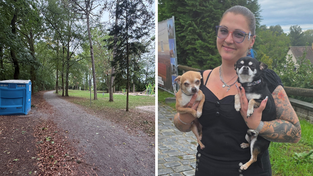 Heidi Gentsch (32) geht täglich mit ihren Hunden Ivar (braun) und Tony im Stadtpark spazieren Heidi Gentsch (32) geht täglich mit ihren Hunden Ivar (braun) und Tony im Stadtpark spazieren