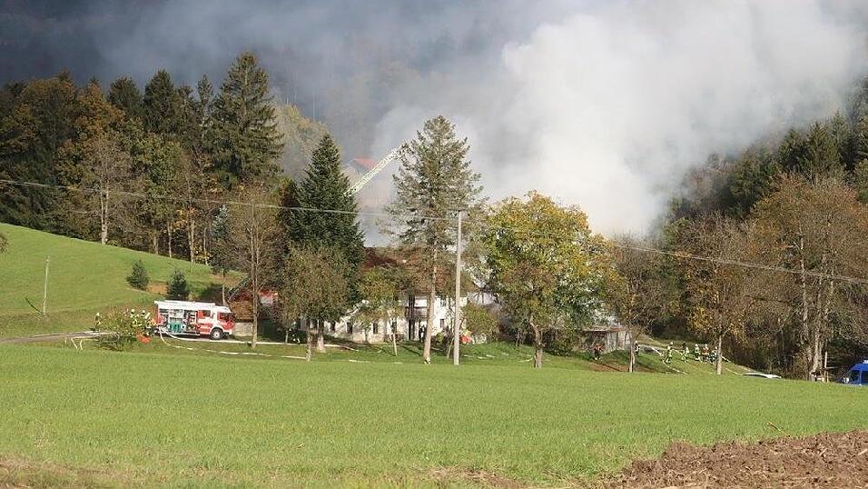 Die Feuerwehr konnte ein Übergreifen des Brandes auf den umliegenden Wald verhindern.