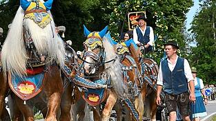 Das Sechsergespann mit dem Brauereifestwagen