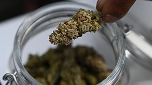 Mehr als sieben Kilo Marihuana stellte die Polizei bei dem Einsatz sicher. (Symbolbild)