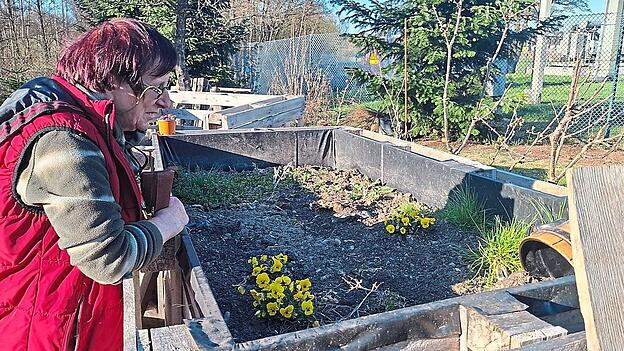 Noch liegt das Beet beim OGV-Heim brach, doch im Sommer wachsen hier wieder Salate, Brokkoli und Tomaten.