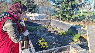 Noch liegt das Beet beim OGV-Heim brach, doch im Sommer wachsen hier wieder Salate, Brokkoli und Tomaten.