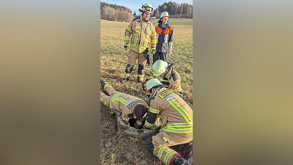 Eine kuriose Tierrettung beschäftigte die Feuerwehr Michelsneukirchen. Bei Oberhof war ein Lamm in einen Schacht gefallen. Eine kuriose Tierrettung beschäftigte die Feuerwehr Michelsneukirchen. Bei Oberhof war ein Lamm in einen Schacht gefallen.