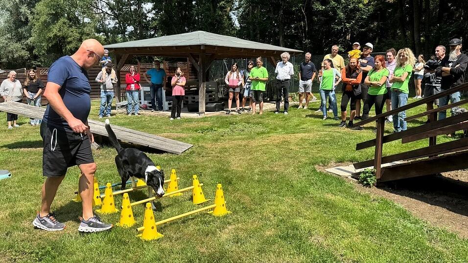 Agisportler JD zeigte mit seinem Herrchen, wie er sich auf einen Wettkampf vorbereitet. Agisportler JD zeigte mit seinem Herrchen, wie er sich auf einen Wettkampf vorbereitet.