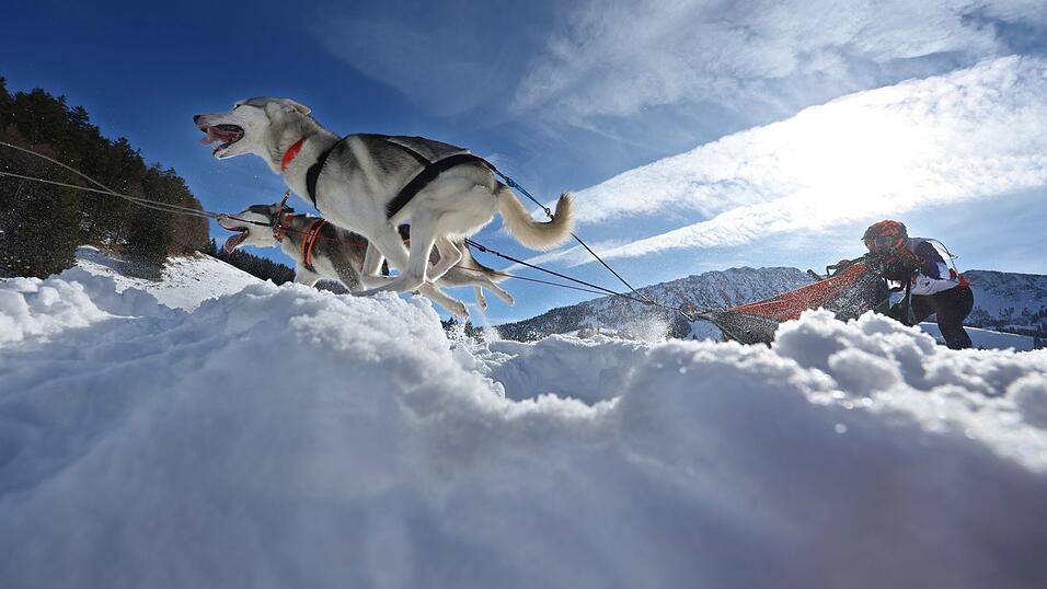 Teams aus etlichen Ländern in Europas gingen im bayerisch-österreichischen Grenzgebiet an den Start. Teams aus etlichen Ländern in Europas gingen im bayerisch-österreichischen Grenzgebiet an den Start.