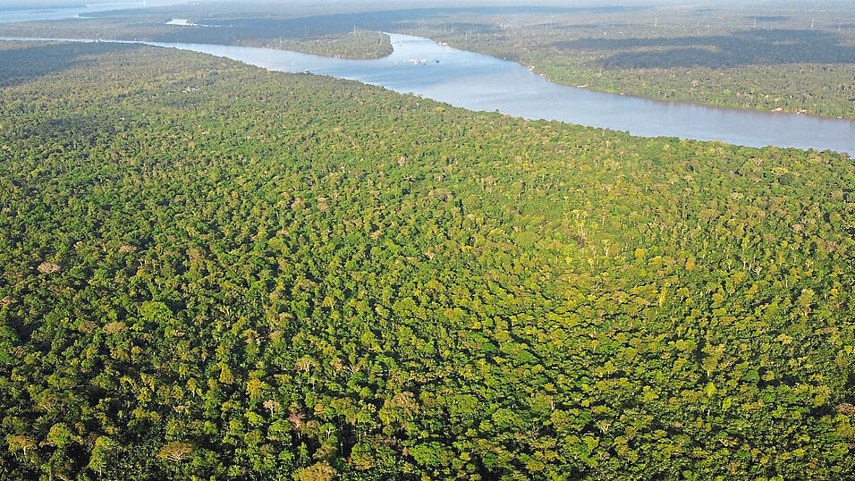 Bei Projekten in Entwicklungsländern kommt es schon mal zu Zielkonflikten - etwa bei der Förderung der Wasserkraft in Kambodscha, für die offenbar Teile des Regenwaldes zerstört wurden.